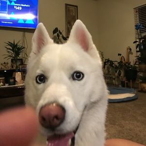 Meet your Posher, Aaron